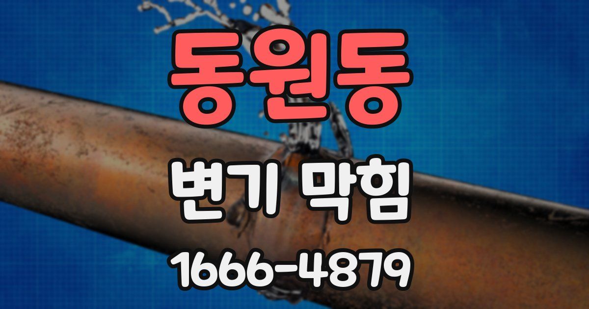 동원동 변기 막힘