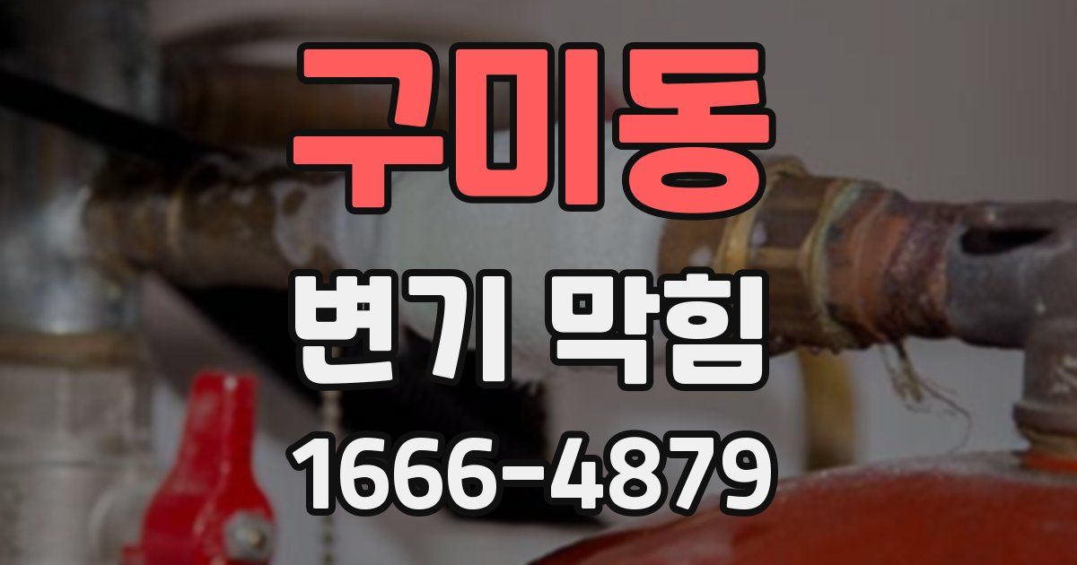 구미동 변기 막힘