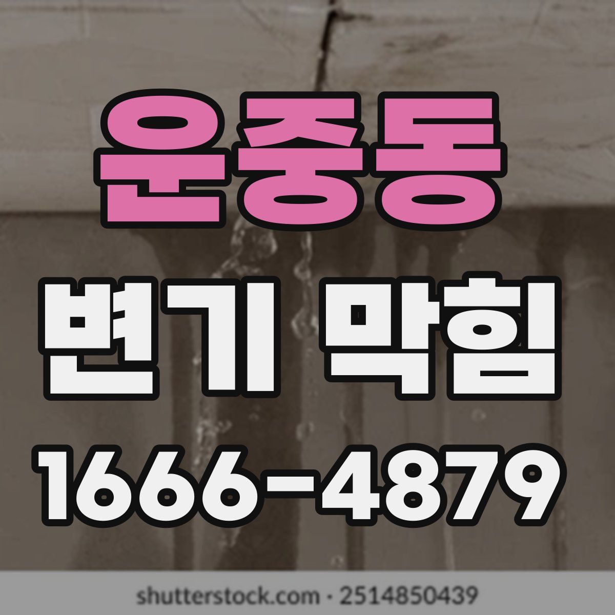 운중동 변기 막힘
