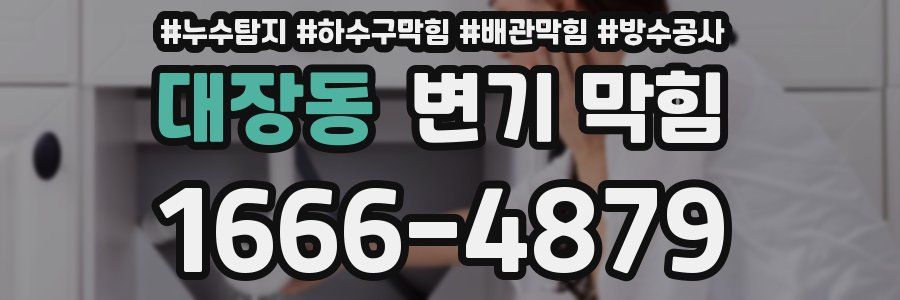대장동 변기 막힘