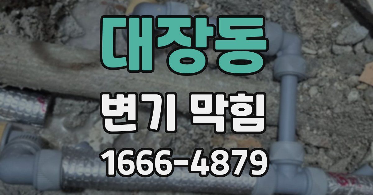 대장동 변기 막힘