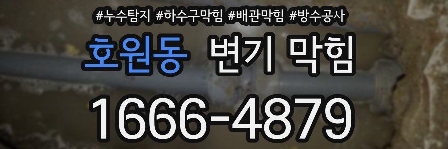호원동 변기 막힘