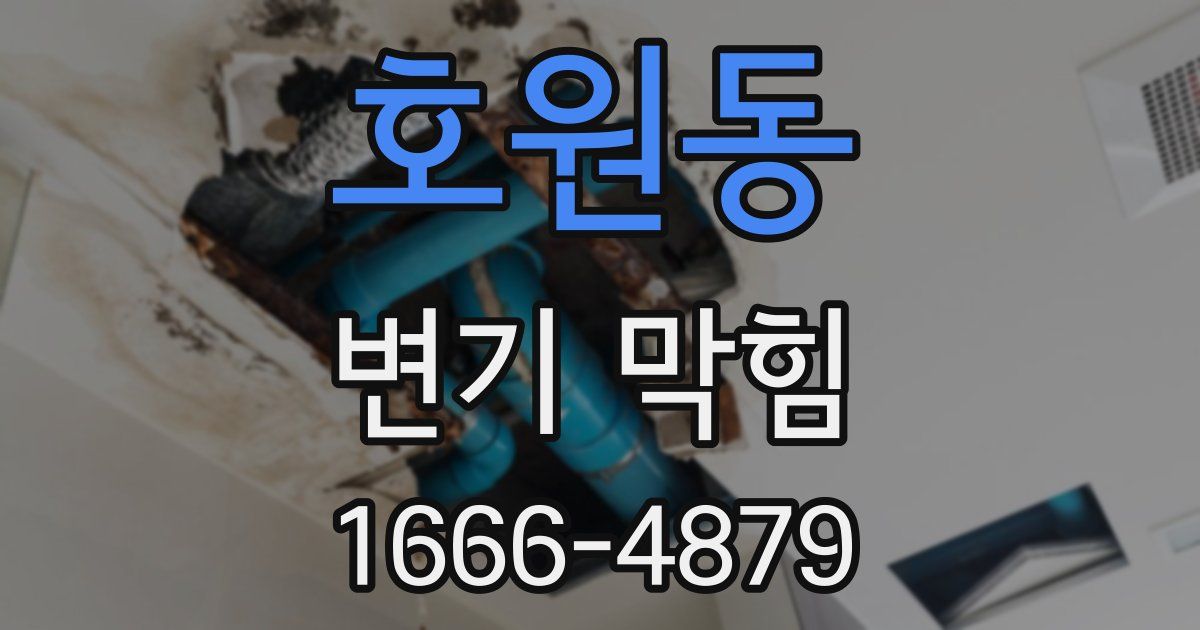 호원동 변기 막힘