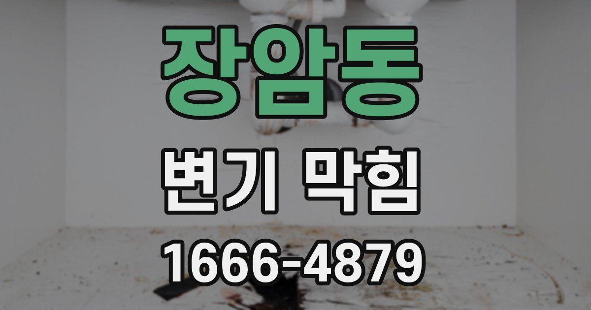 장암동 변기 막힘