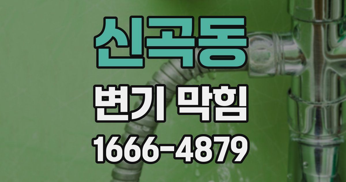 신곡동 변기 막힘