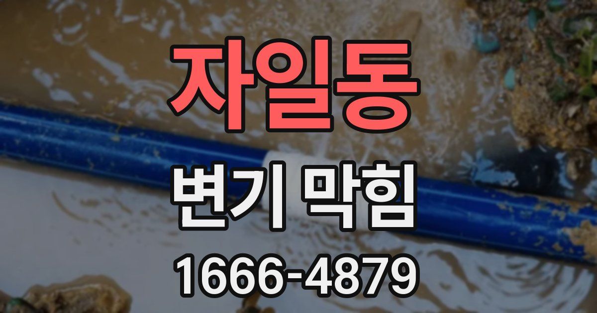 자일동 변기 막힘