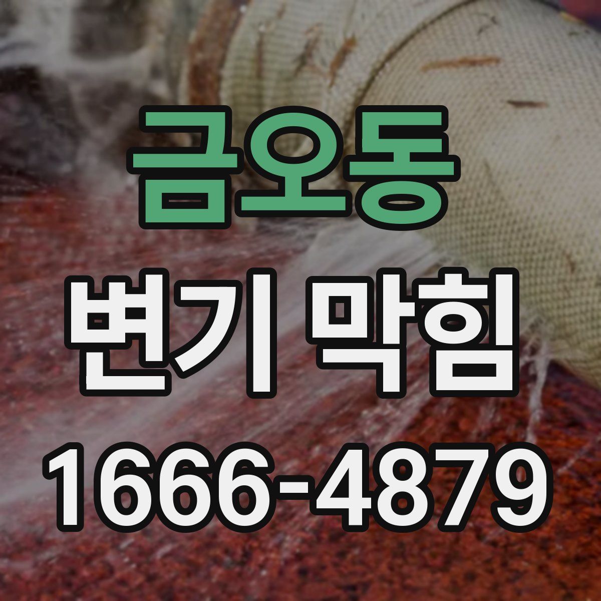 금오동 변기 막힘