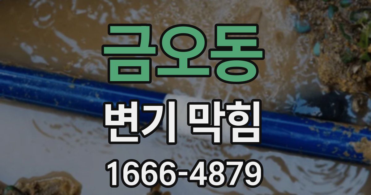 금오동 변기 막힘