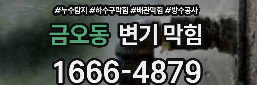금오동 변기 막힘