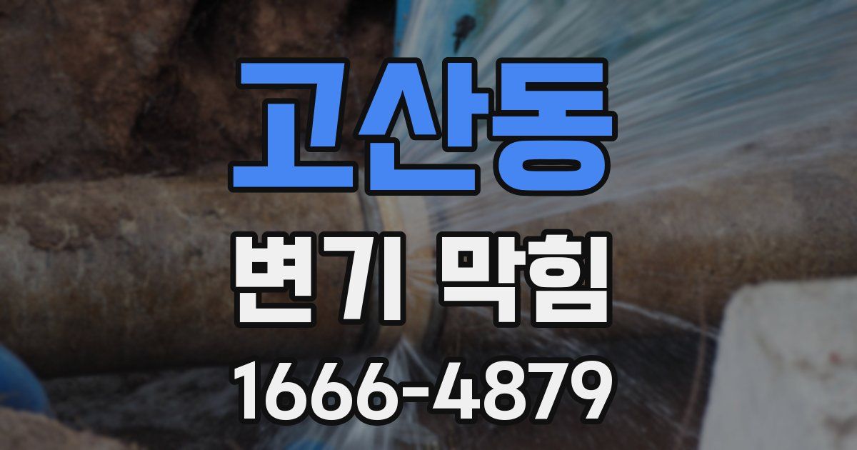 고산동 변기 막힘