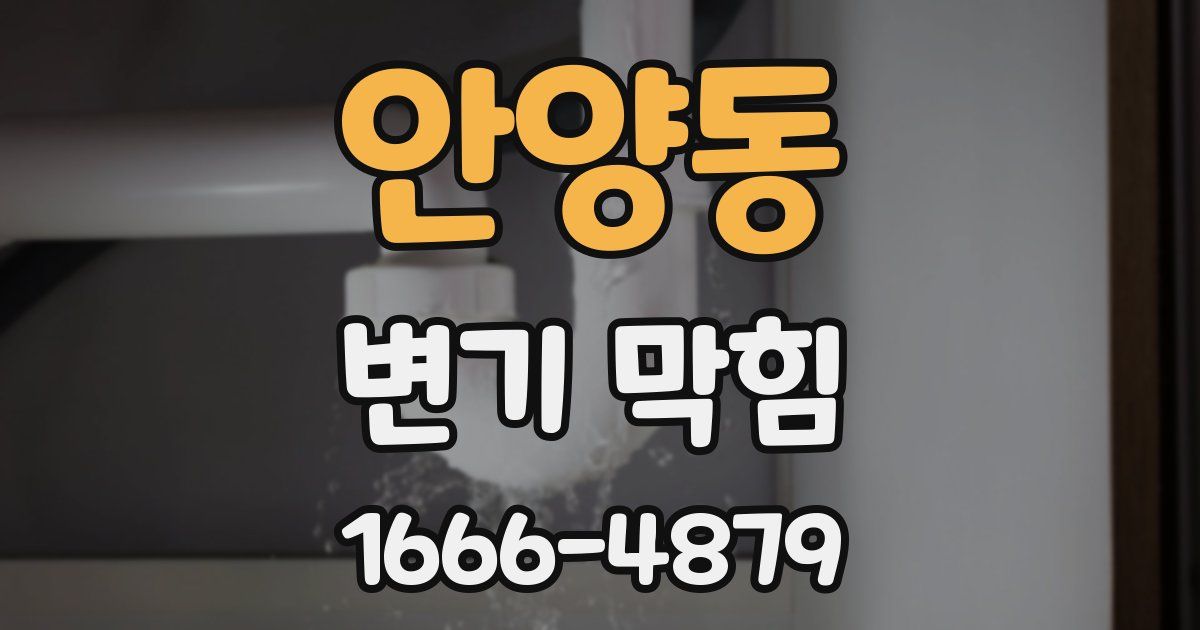 안양동 변기 막힘