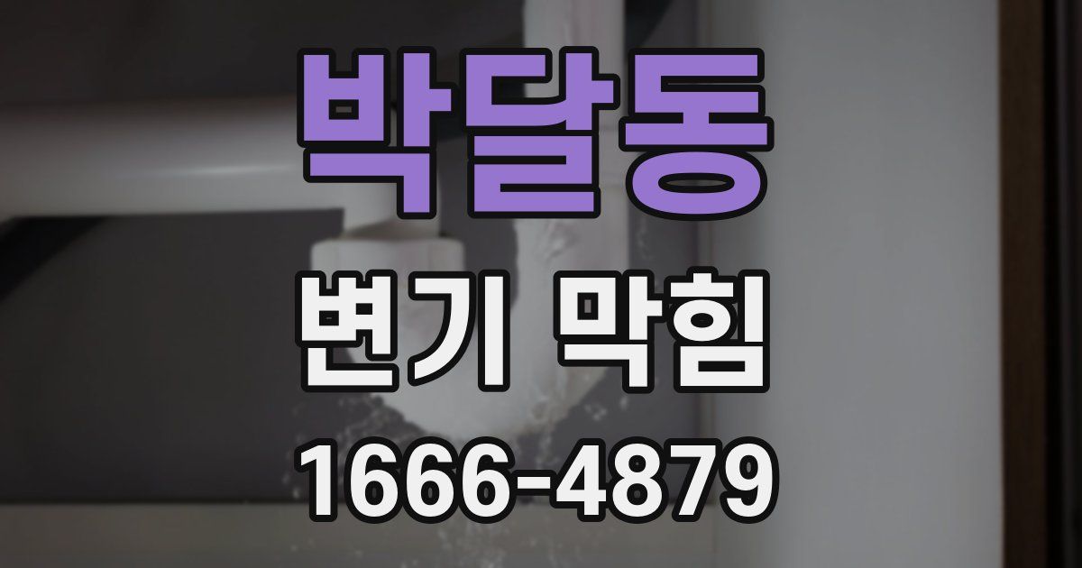박달동 변기 막힘