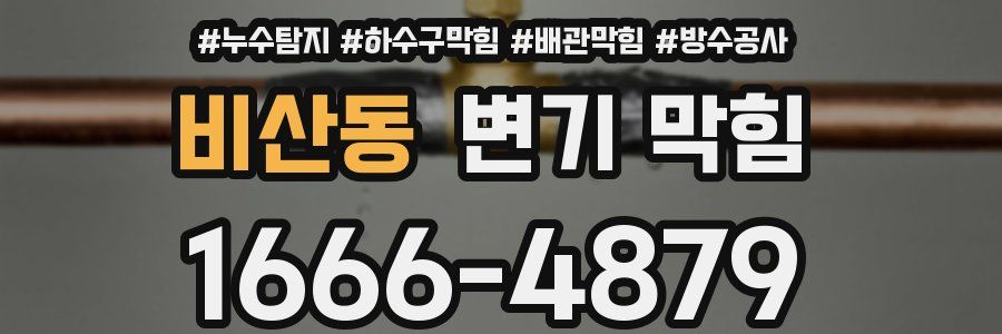 비산동 변기 막힘