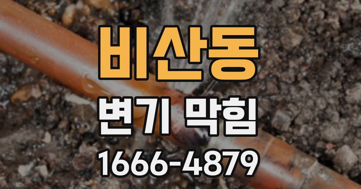 비산동 변기 막힘