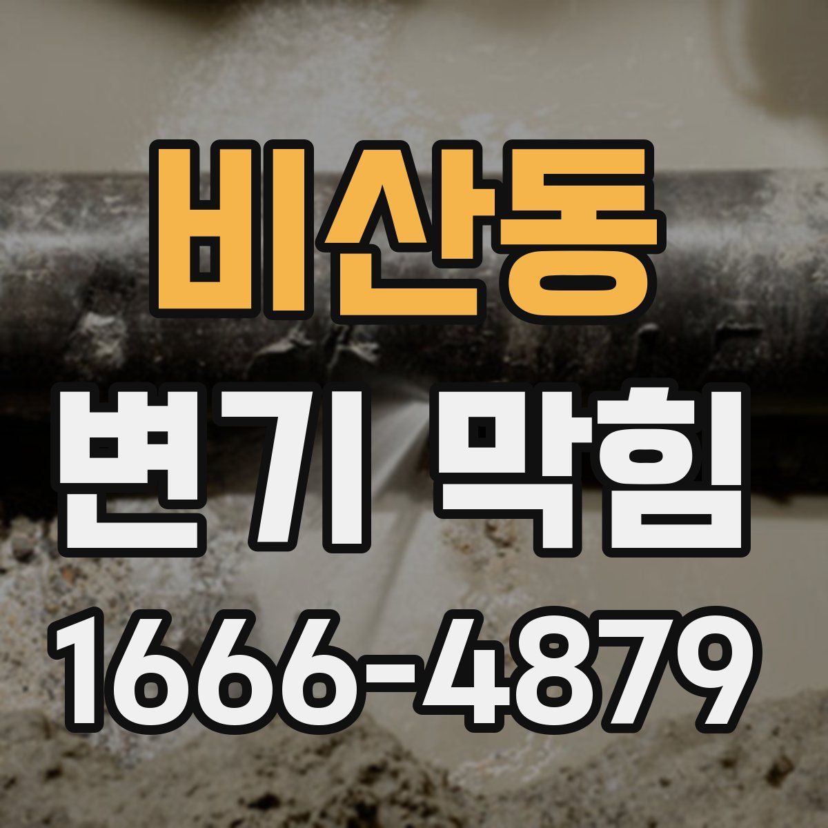 비산동 변기 막힘