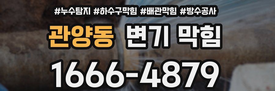관양동 변기 막힘