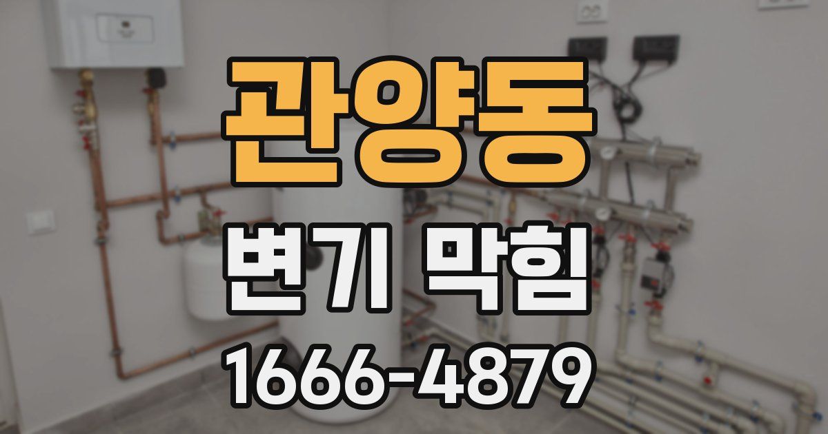 관양동 변기 막힘