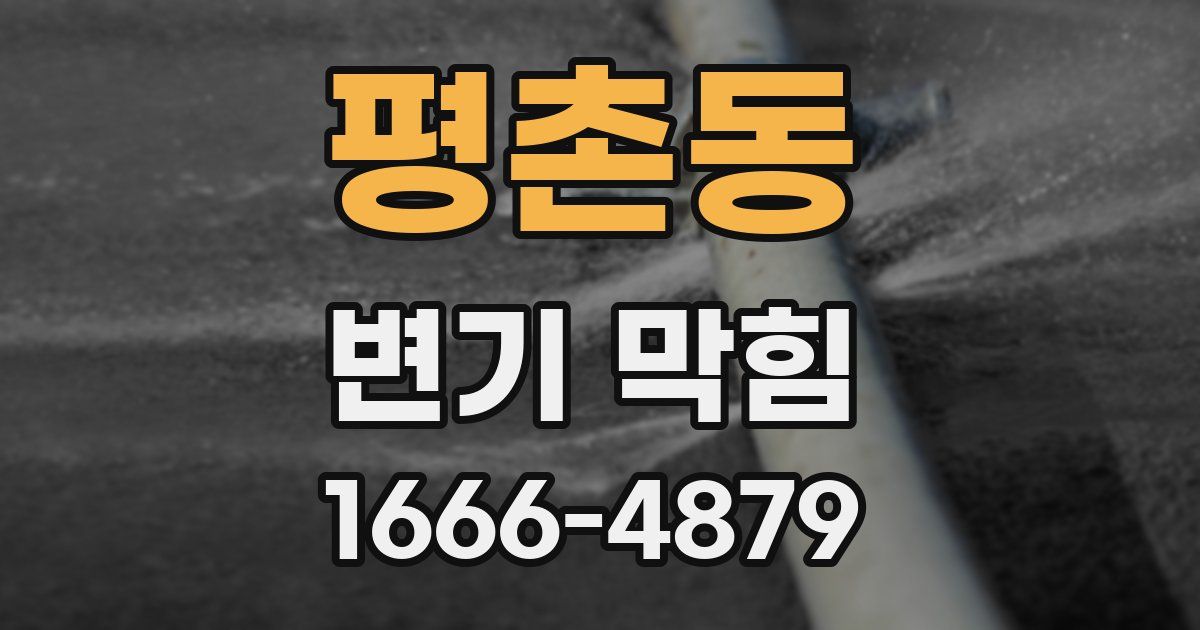 평촌동 변기 막힘