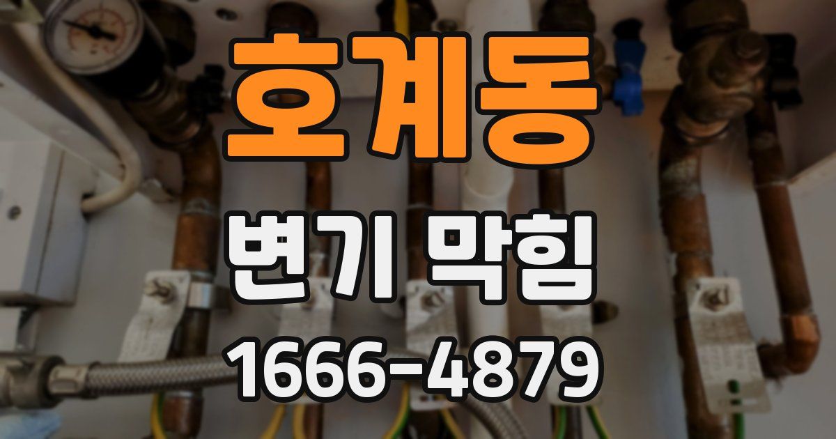 호계동 변기 막힘