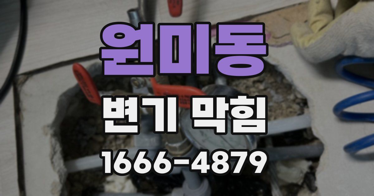 원미동 변기 막힘