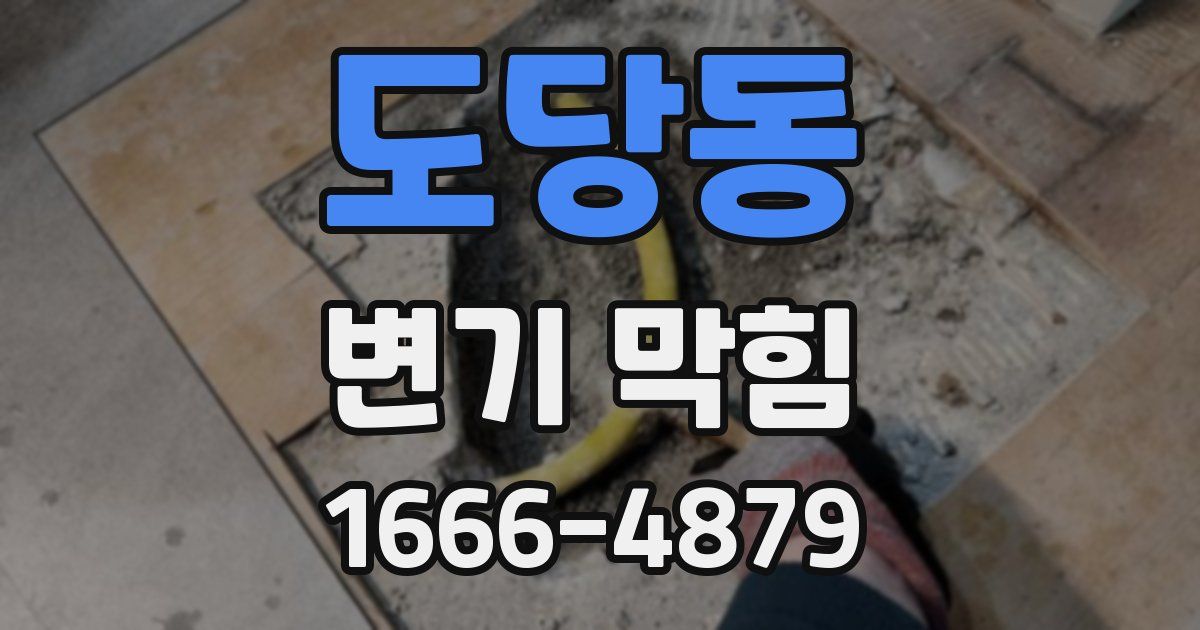 도당동 변기 막힘