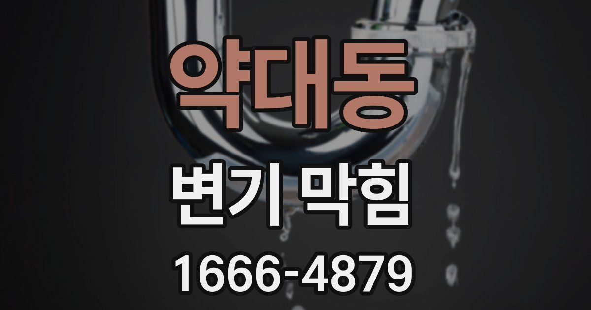 약대동 변기 막힘