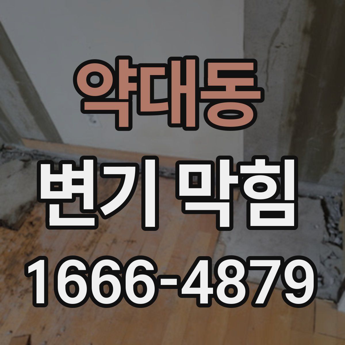 약대동 변기 막힘