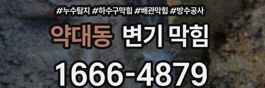 약대동 변기 막힘