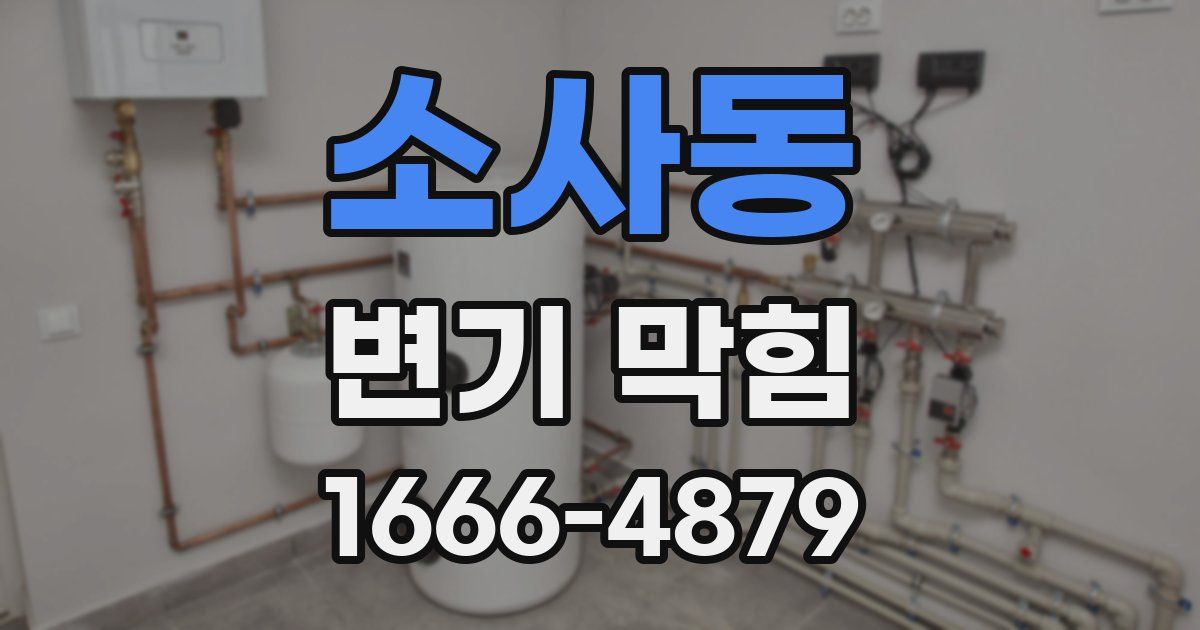 소사동 변기 막힘