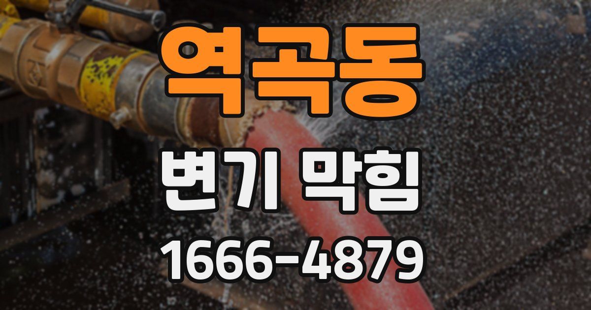 역곡동 변기 막힘