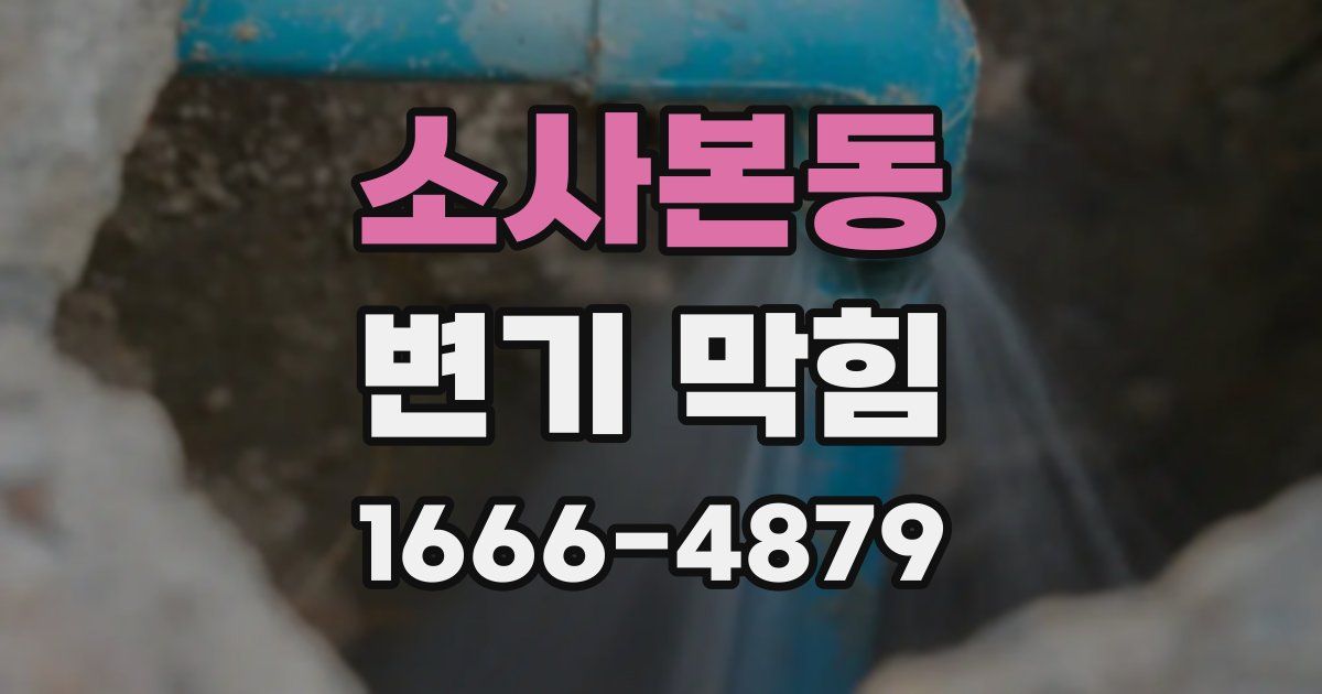 소사본동 변기 막힘