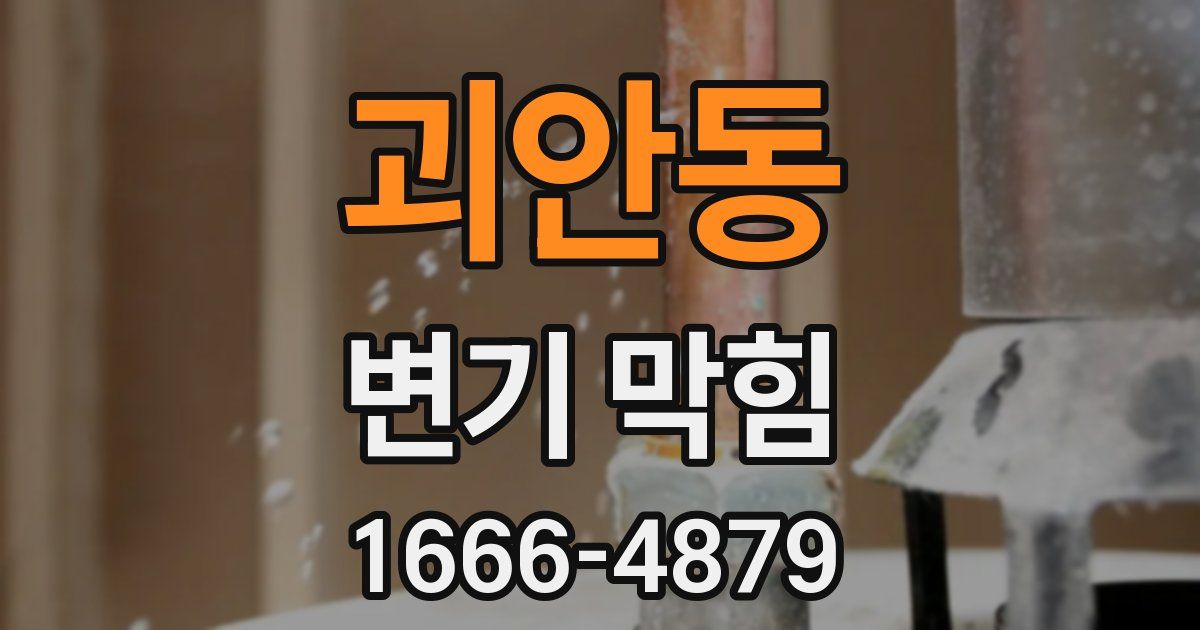 괴안동 변기 막힘