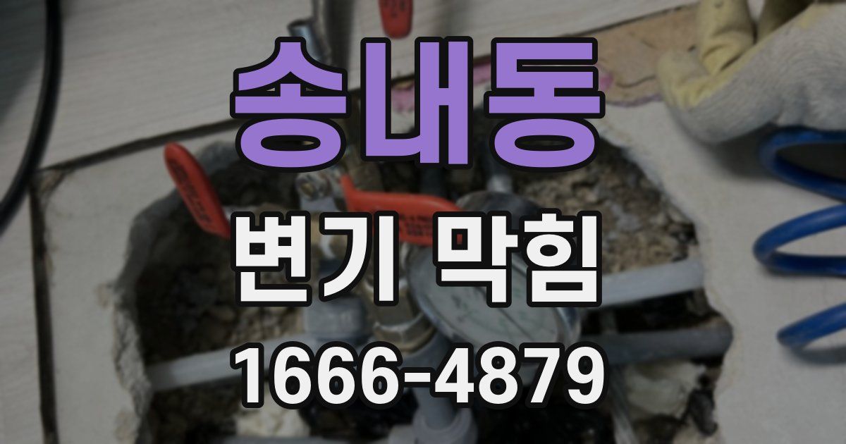 송내동 변기 막힘