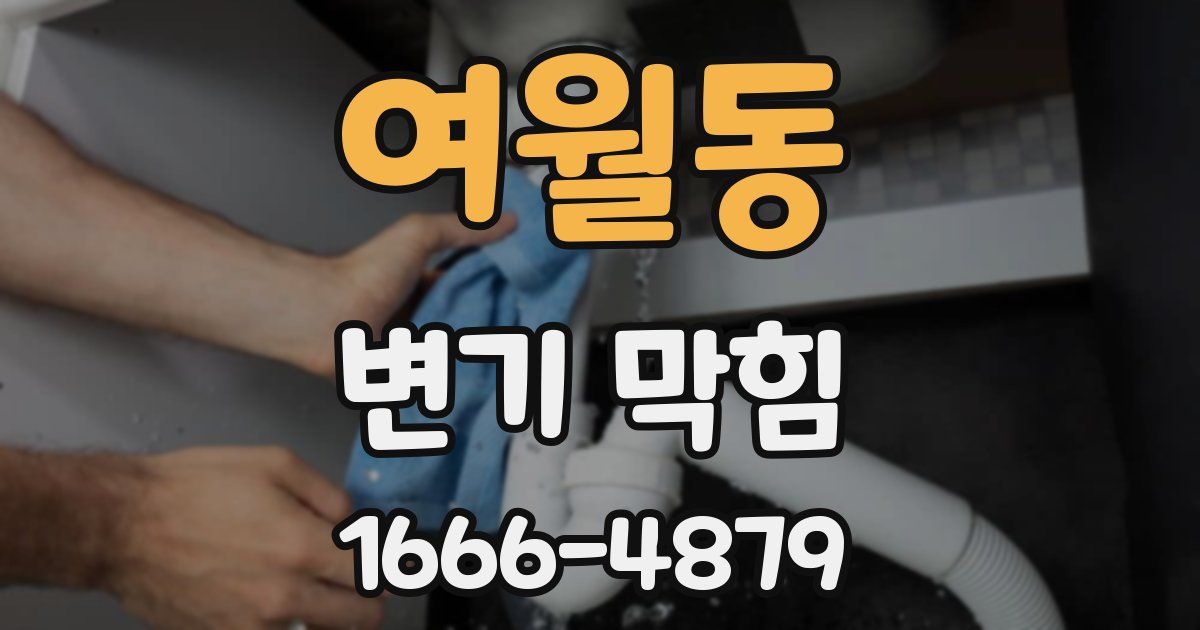 여월동 변기 막힘
