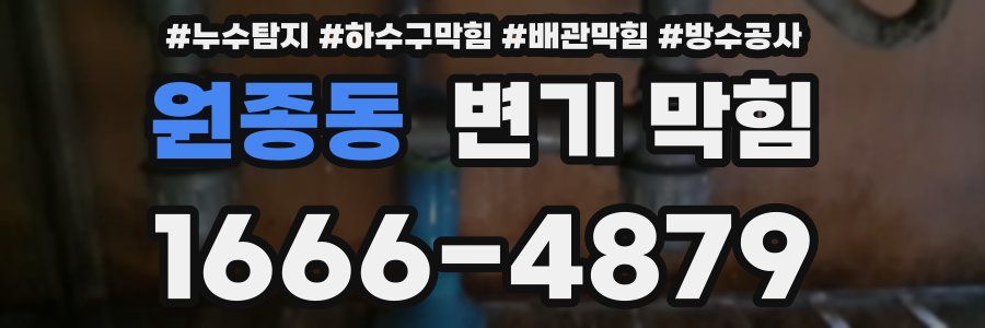 원종동 변기 막힘