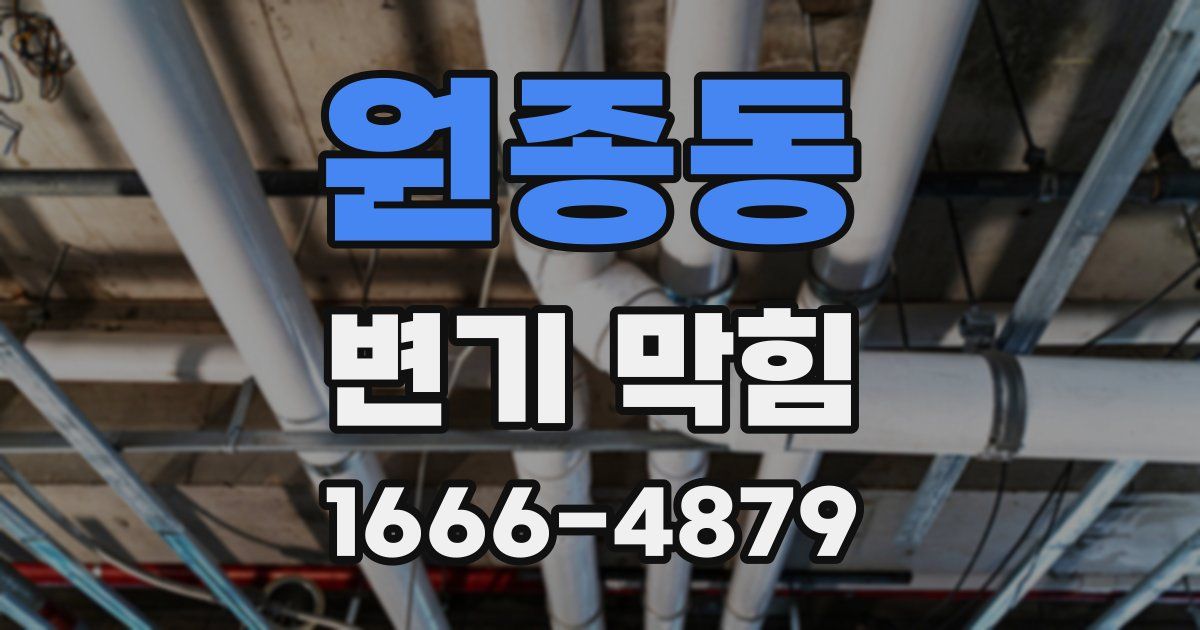 원종동 변기 막힘