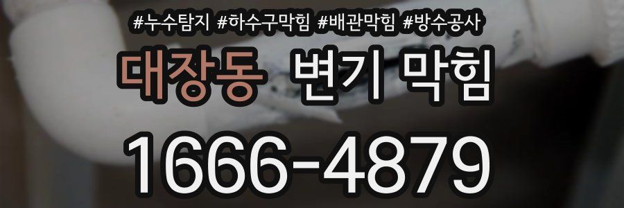 대장동 변기 막힘