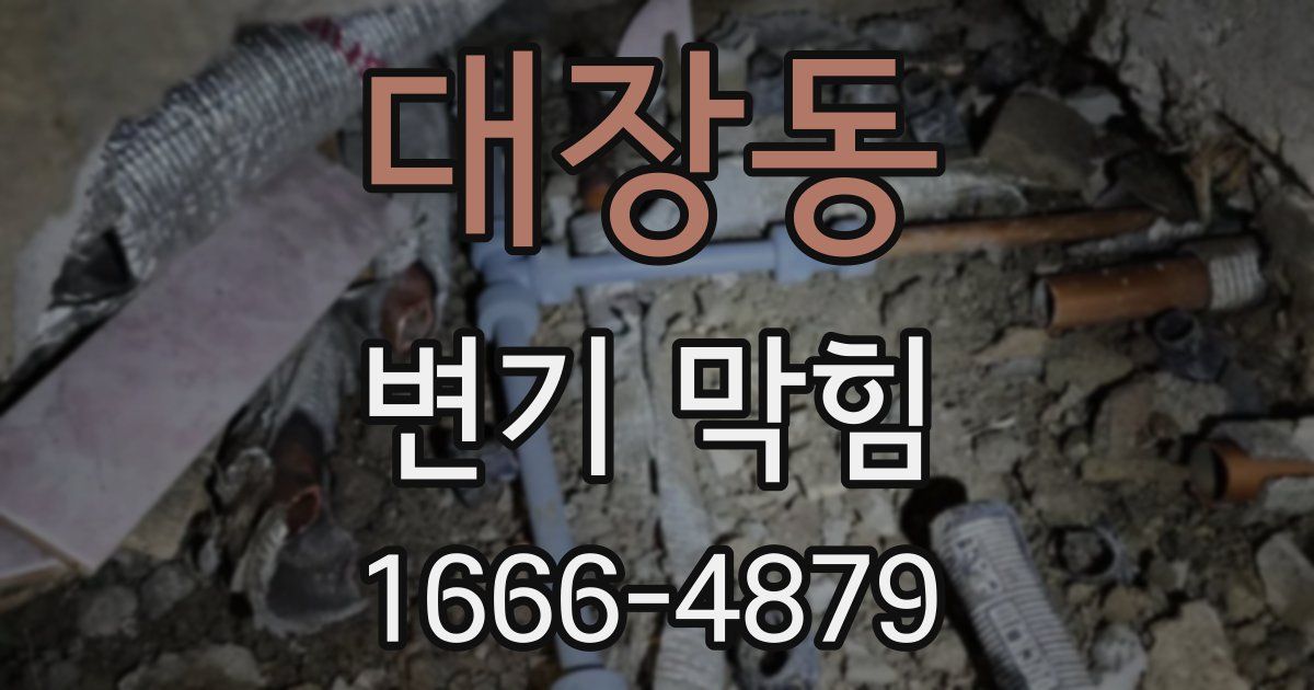 대장동 변기 막힘