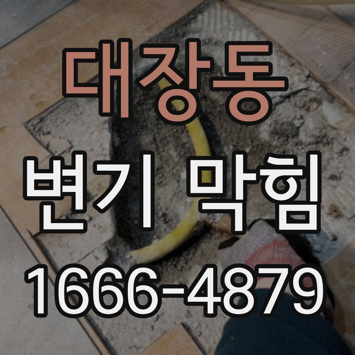대장동 변기 막힘