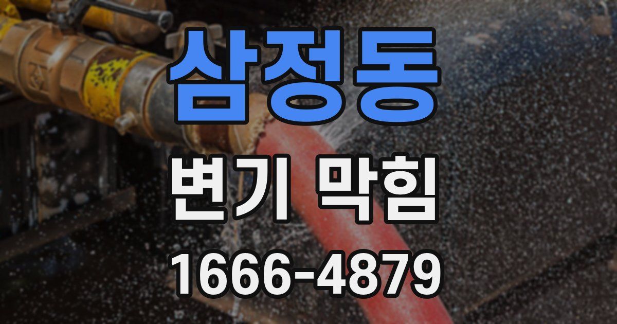 삼정동 변기 막힘