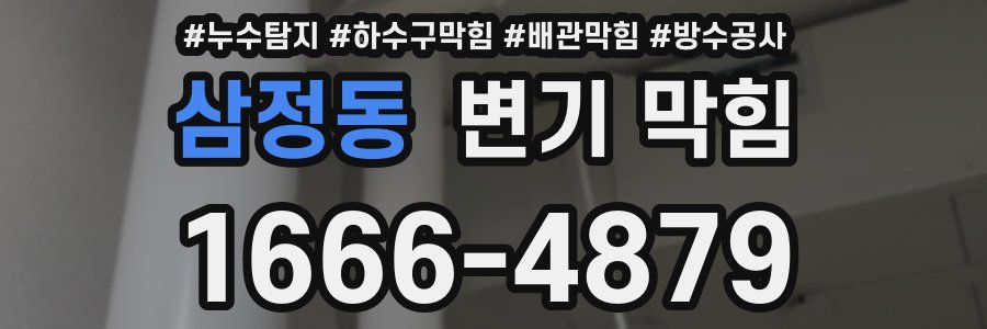 삼정동 변기 막힘