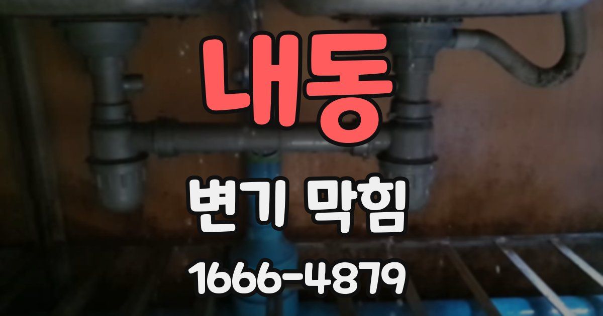 내동 변기 막힘