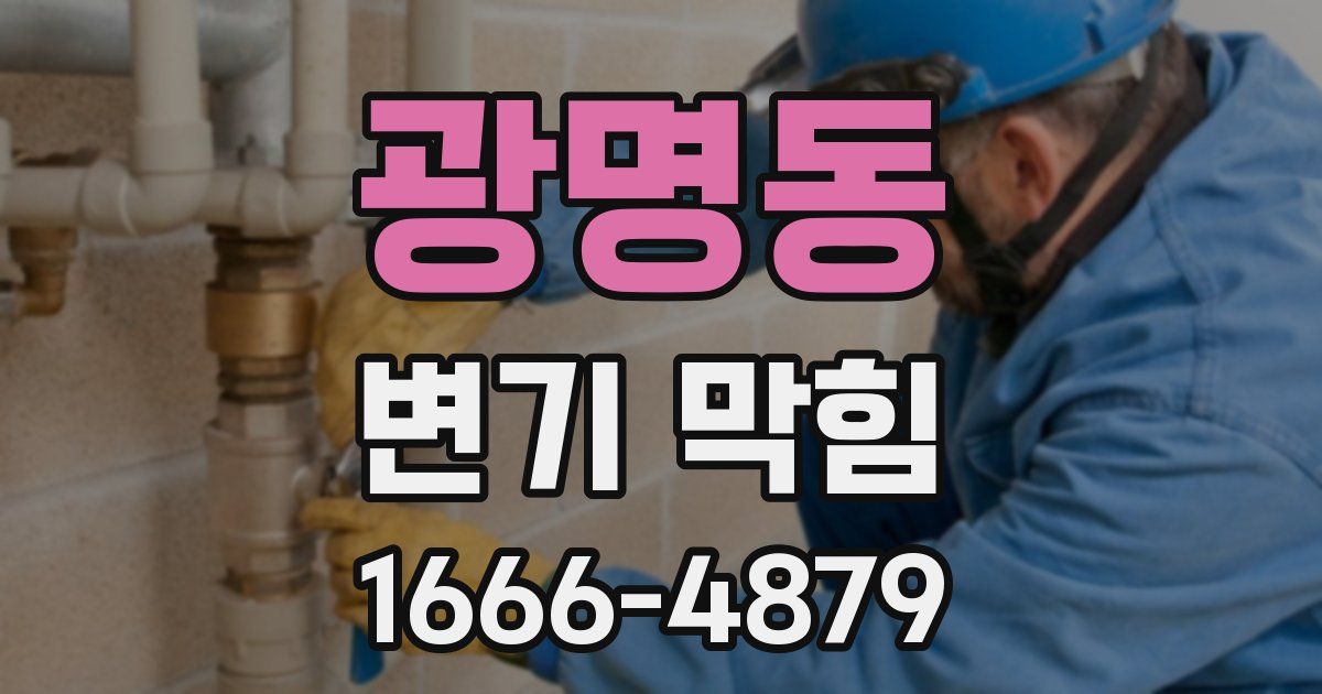 광명동 변기 막힘
