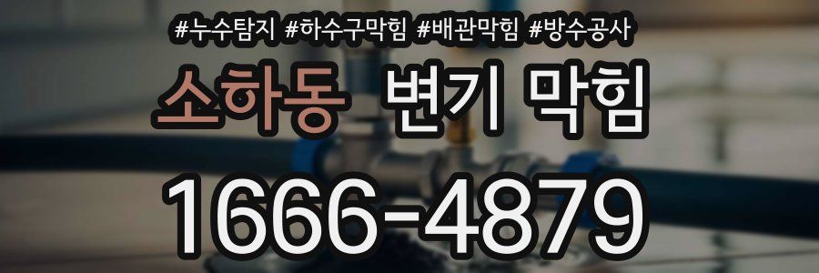 소하동 변기 막힘