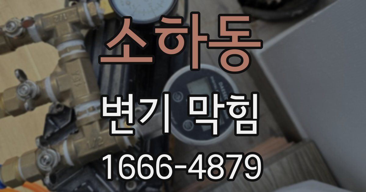 소하동 변기 막힘