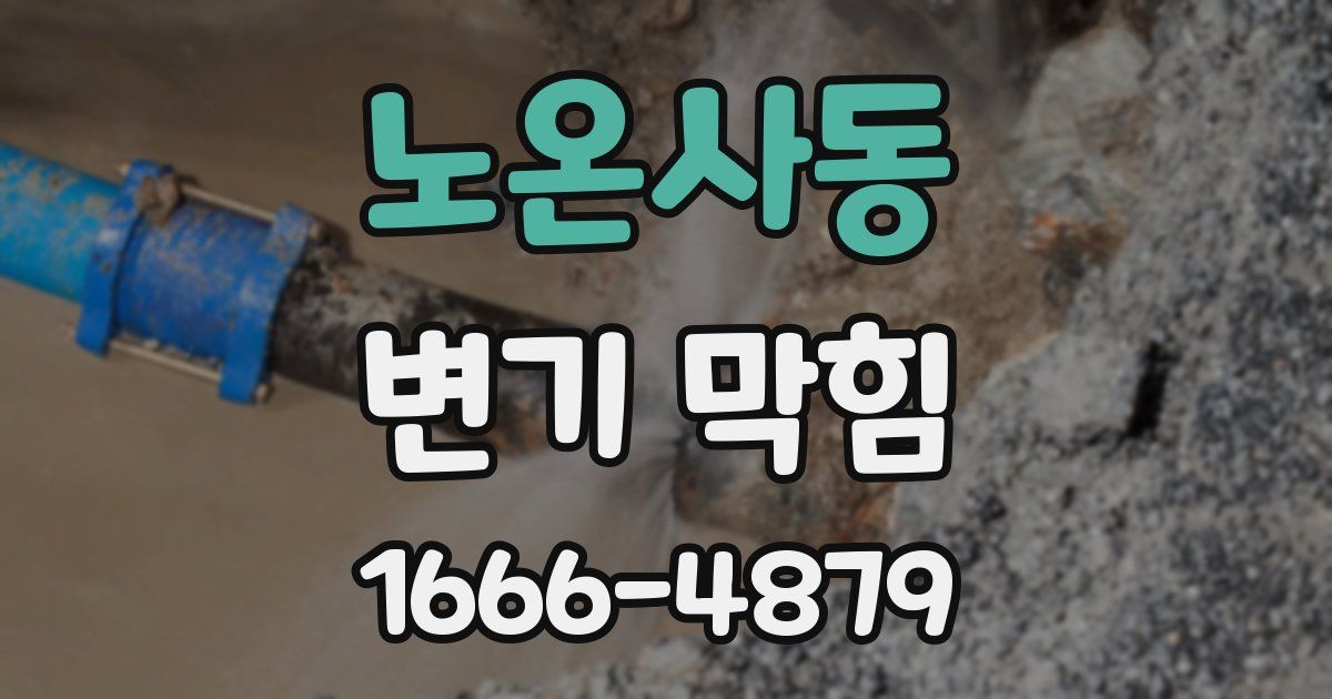 노온사동 변기 막힘