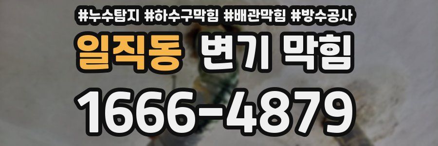 일직동 변기 막힘