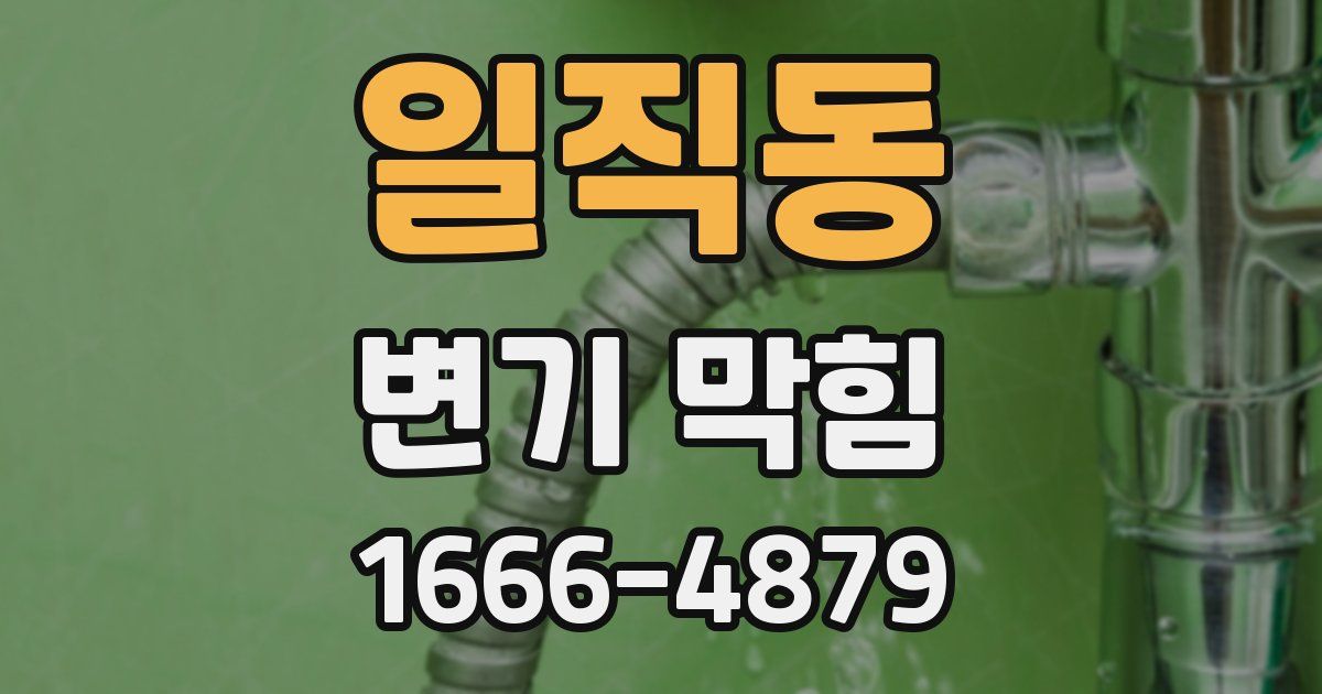 일직동 변기 막힘