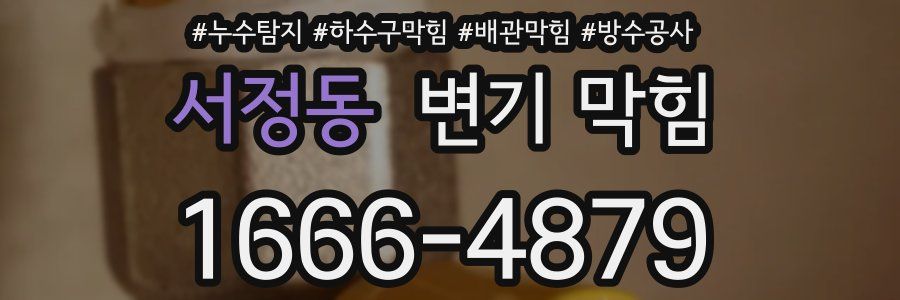 서정동 변기 막힘