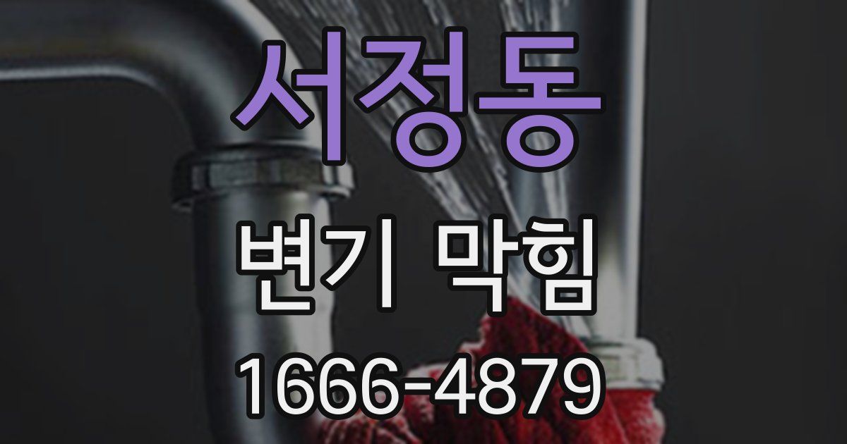 서정동 변기 막힘